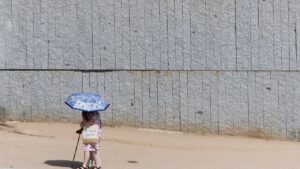 La Comunidad de Madrid activa el nivel de "riesgo alto" por calor