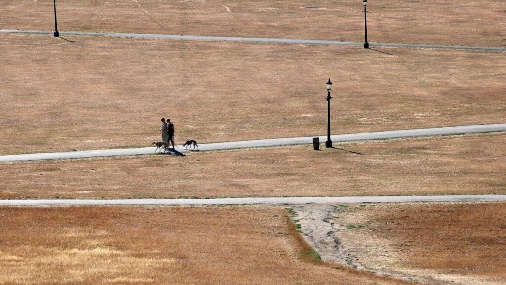 2026 on course to be Britain's hottest summer on record