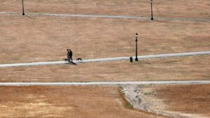 2026 on course to be Britain's hottest summer on record