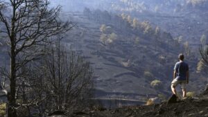 Incendio de Burgohondo (Ávila), en situación "favorable" tras una noche "sin sobresaltos"