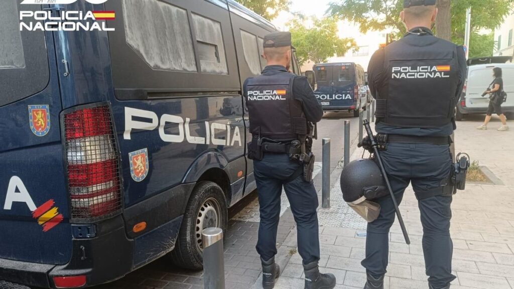 Dos detenidos por robar el móvil y la cartera a un turista en la Playa de Palma