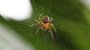 inoreader-1788000491487