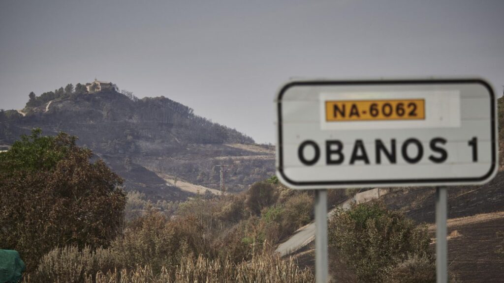 Continúan activos los incendios forestales de Navarra aunque la situación es "más favorable"