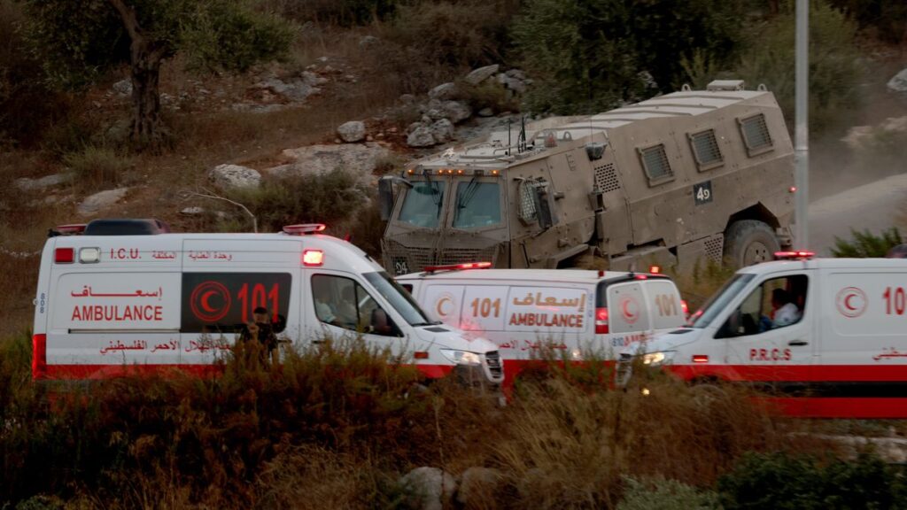 Several Palestinians killed in Israeli airstrike in West Bank's Jenin