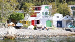 inoreader-1788791789377