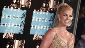 Red Carpet - MTV Video Music Awards 2015