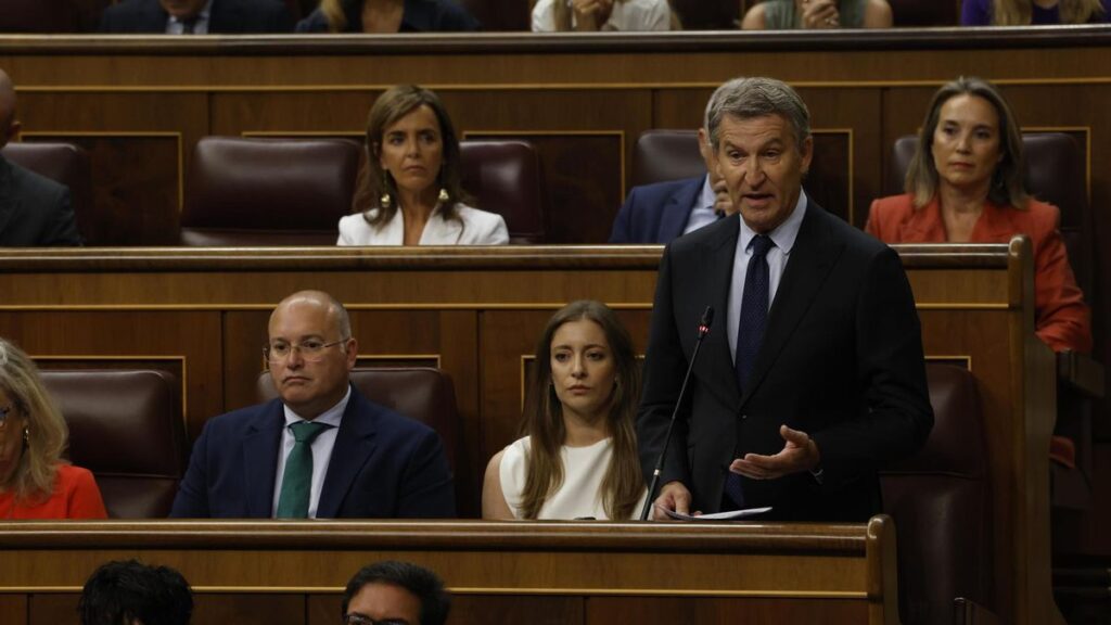Sesión de control en el Congreso