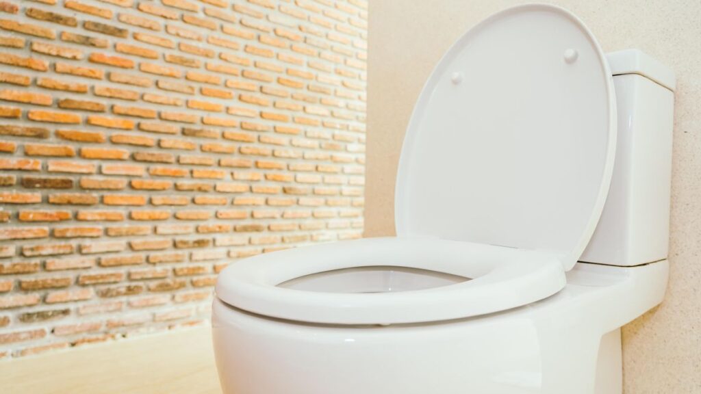 White toilet bowl and seat