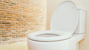 White toilet bowl and seat