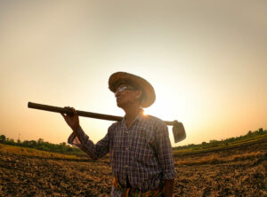 Elderly Asian farmers shoveling and prepare the soil with a spad